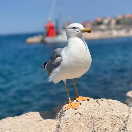 Studio Piran Apartman Kültér fotó